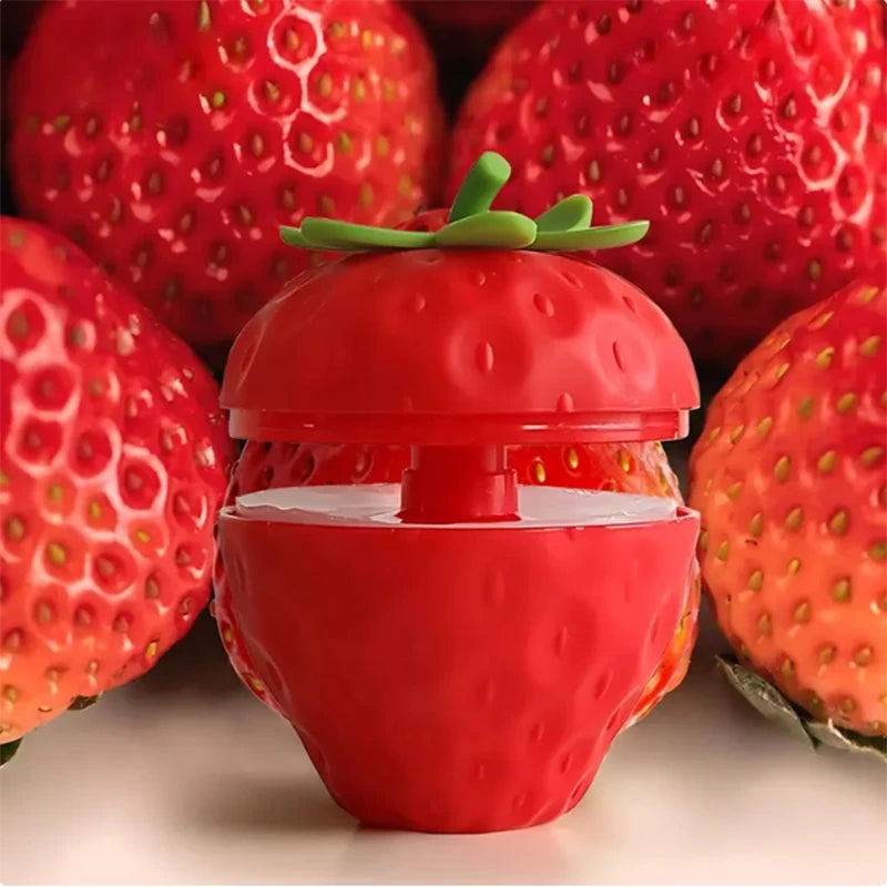 Fruity Solid Air Freshener